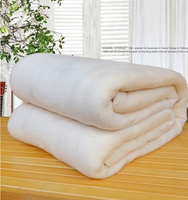 Nouveau 2023 couleur unie Design flanelle couverture avion climatisation pause déjeuner couverture de voyage couverture