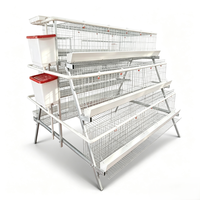 Cage à poules pondeuses de type A, cage de batterie avicole automatique avec abreuvoir à tétine galvanisé