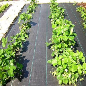<span class=keywords><strong>Malla</strong></span> Antihierbas de Tela Negra para Jardín, Rollo de <span class=keywords><strong>Malla</strong></span> de Cobertura para Agricultura - Product Image 5