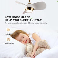 Haute qualité 24 pouces Bldc Conversion ventilateur de plafond électrique lumière moteur à courant continu économie d'énergie 3 pales ventilateur de plafond avec télécommande