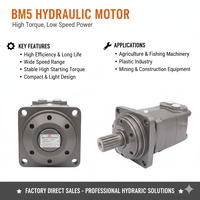 Moteur hydraulique orbital compact et silencieux BM5/BM5W/BM5S-315/400/500/630/800/985 80-1250ml/r Moteur cycloïdal