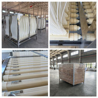 Module de membrane MBR tressée en fibre creuse PVDF de 740 m², 100 mètres cubes par jour, pour le traitement des eaux usées