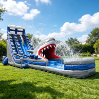 Toboggan aquatique gonflable géant de qualité commerciale pour enfants et adultes, idéal pour les aires de jeux extérieures - Prix de gros