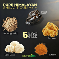 Gommes à mâcher aux herbes de Shilajit pur de l'Himalaya, Ashwagandha, Racine de Bardane, Acide Fulvique, Mousse de Mer – Antioxydant et Soutien Immunitaire pour Adultes – Durée de conservation : 24 mois