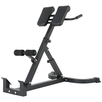 Chaise romaine multifonctionnelle réglable et pliable en acier pour entraînement des jambes et du dos, banc d'hyperextension