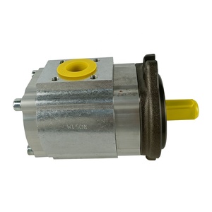 Bomba de Engranajes para Máquina de Moldeo por Inyección ECKERLE 890-EI-0250-FK2-S201 de Alemania - Product Image 2