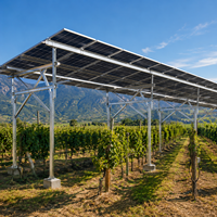 Structure de ferme solaire en aluminium sur mesure, inclinaison 10-45°, charge éolienne 60 m/s, durée de vie 25 ans, pour système de montage au sol