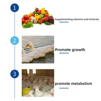 Additifs Alimentaires Prémélangés à l'Huile de Foie de Poisson 120g pour Volailles et Bétail – Vitamines et Acides Aminés de Qualité Alimentaire Favorisant la Croissance et la Production d'Œufs en Poudre