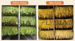 เตาอบแห้งแบบปั๊มความร้อนสำหรับแปรรูปอาหาร ผลิตตามสั่งจากโรงงาน พร้อมเครื่องอบแห้งใบไม้ มอเตอร์ PLC ประหยัดพลังงาน ความจุสูง - Product Image 6