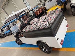 Carrito de Golf Eléctrico Todoterreno con Caja de Carga de Acero - Product Image 3