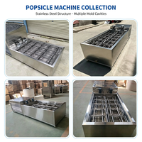 IJslollymachine, industriële machine met hoge efficiëntie voor de productie van ijslollies, met meerdere vormopties