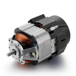 Hochleistungs-Wechselstrom-Einphasen-Universal-Serie Mixer Grinder Blender Entsafter Ein phasen motor 200w
