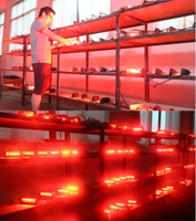 Voyant de sécurité pour chariot élévateur industriel Zone rouge LED avec ligne laser