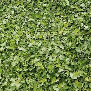 คุณสมบัติของสเปรย์ดรายด์ดิ้งแคทุค ซัวโรปัส แอนโดรจินัส อาคินา - Product Image 1