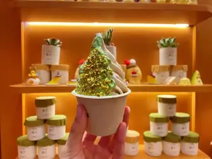 Latte di soia appena macinato | Essenza di latte di soia fresco in polvere | Specificamente per bevande solide/cottura/cereali per la colazione - Product Image 2