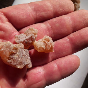 批发茹香纯干红hojari阿曼乳香谷物出售 - Product Image 2