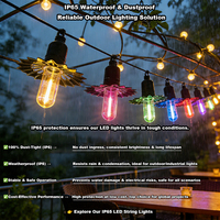 Guirlandes lumineuses LED étanches IP65 de haute qualité, résistantes aux chocs, pour l'extérieur, le patio, les fêtes et les vacances