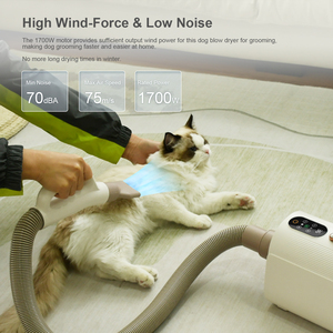 LED Intelligent Touch 4 Düsen Bildschirm Einstellbare Wärme Tier pflege Hunde-und Katzen haartrocknungs kraft Trockner Wasser gebläse - Product Image 2