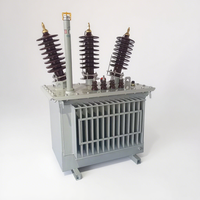 Transformador Toroidal Trifásico de Alta Tensión S11-M-630kva, Sumergido en Aceite, 60Hz, Garantía de 2 Años, 250 Cobre Aluminio, Entrada de 15kV, 415V