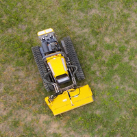 Mesin pemotong rumput Remote Control perayap nirkabel 500mm harga pabrik Tiongkok dengan sekop salju