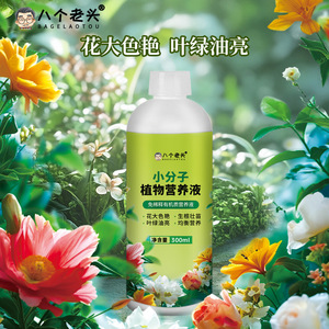 Solución Nutritiva Vegetal de Moléculas Pequeñas Eight Old Men 300ml Para Flores y Frutas - Product Image 4