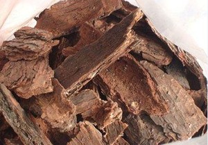 卸売バルク天然プロシアニジン<span class=keywords><strong>95</strong></span>％マツ（Pinus radiata）樹皮エキス - Product Image 3