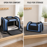 Sac de transport pliable en polyester pour animaux de compagnie, sac bandoulière pour chat, adapté aux chats et chiots de petite et moyenne taille, vente chaude