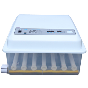 Nueva Incubadora de Huevos <span class=keywords><strong>Mini</strong></span> para 48/<span class=keywords><strong>56</strong></span>/64 Huevos de Gallina, Material Plástico PP, para Incubación de Patos, Codornices y Pavos, Precio en Nepal - Product Image 6