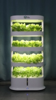 Système de culture hydroponique verticale automatique aéroponique sans terre avec 80 trous et éclairage LED