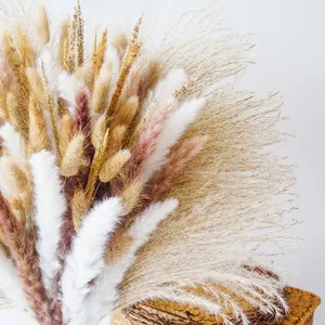 Wholesale Rabbit Runny Tail Grass Dried Flowers Arranging Reed Plume Luxuriant Fluffy Pampas Grass Bouquet Boho Home Decoration