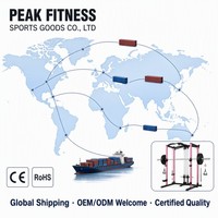 Rack de Squat Pliant Mural Multifonctionnel Commercial Moderne 2026 avec Acier Inoxydable Personnalisable pour Usage Domestique et en Salle de Sport