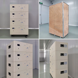 電力供給中国卸売家庭用エネルギーストレージ1つオフグリッドソーラーシステム高品質インバーターとバッテリー - Product Image 6