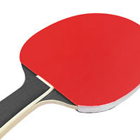 Ensemble de raquettes de tennis de table en caoutchouc haute performance approuvé, haute élasticité, noir et gris, pour joueurs, lame de ping-pong