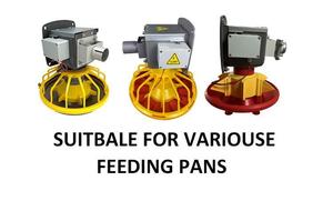 Trang trại tự động Gà Gia cầm khoan dễ dàng Pan hệ thống cho ăn sản phẩm mới 2020 hộp carton CE Cung cấp Gà nhà PP chất liệu - Product Image 5