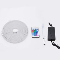 Bande lumineuse néon LED RGB 12V avec télécommande 24 touches, emballage blister, flexible pour enseignes publicitaires, bande néon RGB