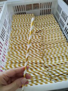 جودة عالية مختلطة الشريط قابلة للتحلل شرب ورقة ماصّة للكوكاتيل والماء والبيرة والحليب - Product Image 6