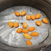 Industriële Meloen Automatische Mango Schilmachine Groente Fruit Dunschiller Verwerkingsmachine