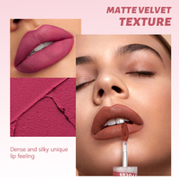 Pinkyfocus Nouveau design OEM pour les lèvres Maquillage Velours mat Glaçure pour les lèvres Rouge à lèvres liquide non collant Cosmétiques végétaliens