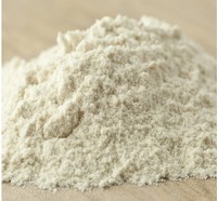 Fournisseur direct d'usine, matière première naturelle pour les soins de la peau, poudre de glucane de levure
