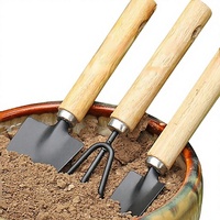 Ensemble de trois outils de jardinage en fer pour plantes d'intérieur, fleurs, bonsaïs, pin, terre et légumes - Idéal pour le jardinage domestique