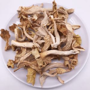 Оптовые поставки высококачественных натуральных сушеных желтых грибов лисичек (Cantarillus cibarius), необработанных, для промышленной переработки (AD) - Product Image 4