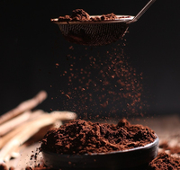 Poudre de spores de Ganoderma Lucidum de la montagne de Changbai, 250g, première pression, qualité supérieure, authentique, qualité alimentaire, réfrigérée