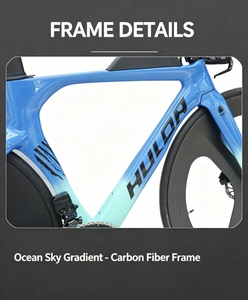 <span class=keywords><strong>Bicicleta</strong></span> de Contrarreloj y Triatlón con Cuadro de Carbono, 24 Velocidades, Cambio Electrónico, Juego de Ruedas Aerodinámicas de Carbono, Frenos de Disco Hidráulicos, 700C, <span class=keywords><strong>Bicicleta</strong></span> de Carreras - Product Image 3