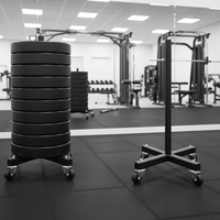 En gros, support à chariot compact en métal écologique pour plaques de poids et haltères, pour équipement de fitness et barres de musculation