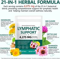 Capsules de drainage lymphatique naturelles en gélules molles à marque privée |   Compléments alimentaires à base de plantes pour l'équilibre lymphatique et la santé immunitaire - 240 gommes pour adultes