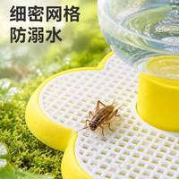 Bouteille d'eau pour insectes, centipèdes et scorpions, grande bouteille d'eau pour éviter les noyades