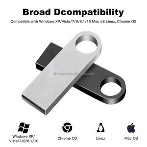 Clé USB 2.0 en métal, clé mémoire USB 2G 4G 8G 16G 32G 64GB, clé USB personnalisée avec logo, mini clé USB - Product Image 3