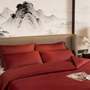 Ensemble de literie en graphène avec logo personnalisé, luxe, pour la maison et l'hôtel, doux et respectueux de la peau - Product Image 3