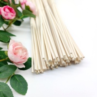 Bâtonnets de rotin personnalisés 2.5mm 3mm 3.5mm 4mm 5mm 6mm Bâtonnets de diffuseur de rotin de parfum