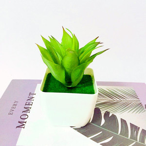 Plante succulente artificielle Qi Xing 15 cm en PVC souple, décoration d'intérieur, plante en pot, ornement végétal - Product Image 3